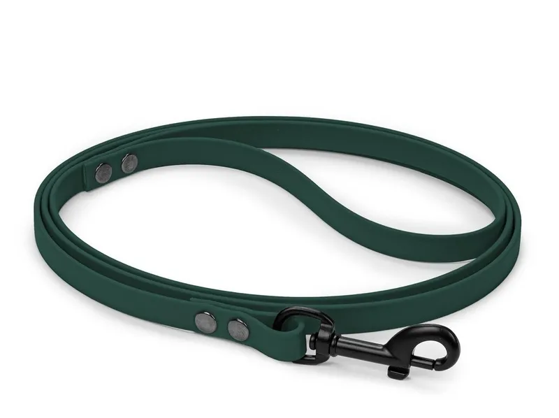 Smycz dla małego psa BioThane 13mm zielone