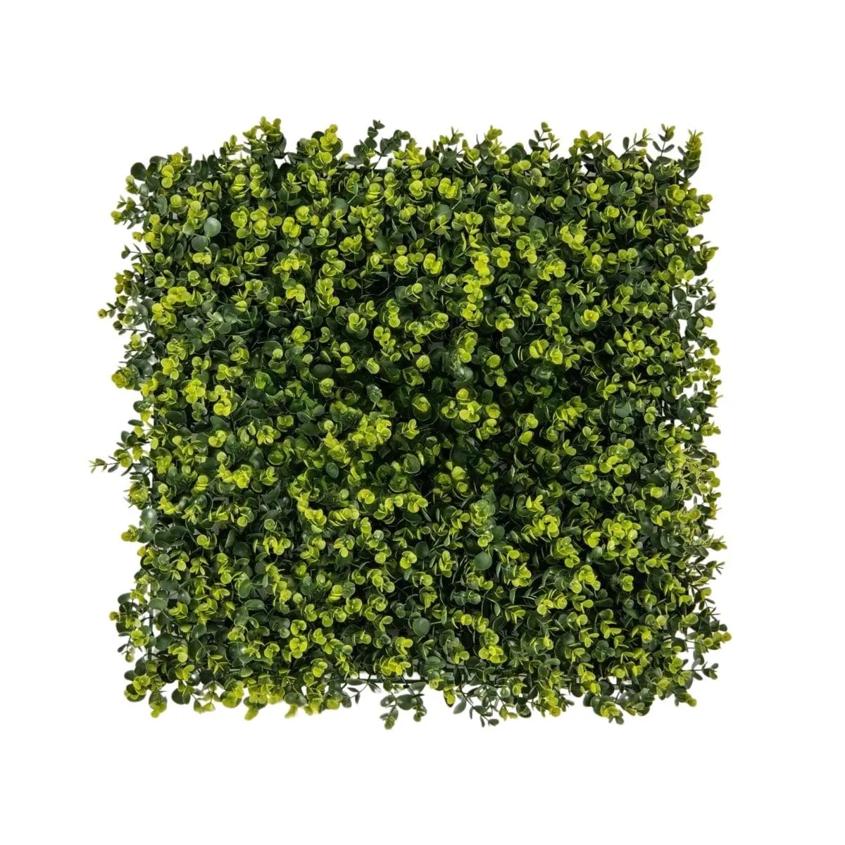 Zestaw 12 szt. paneli ze sztucznego bukszpanu 50 x 50 cm