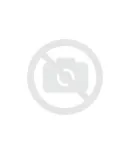 Gwiazda betlejemska 2 szt. biała z brokatem ażurowa na klipsie poinsecja sztuczny kwiat