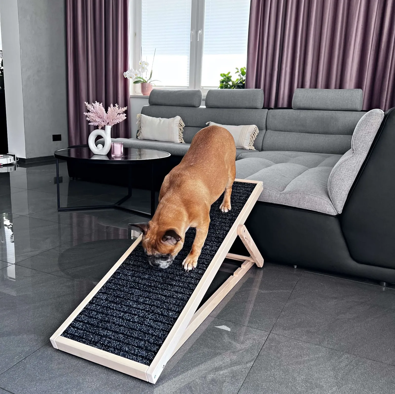 Rampa drewniana dla psa podest z regulowaną wysokością 3-stopniowa pochylnia