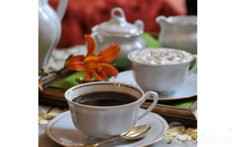 Serwis obiadowy dla 12 os./ 105 części - 3604 BOLERO