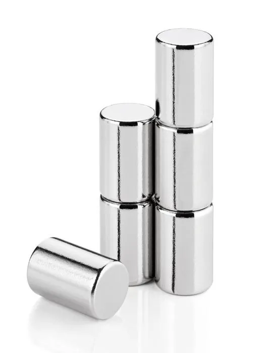 Zestaw 6 magnesów Velio Blomus