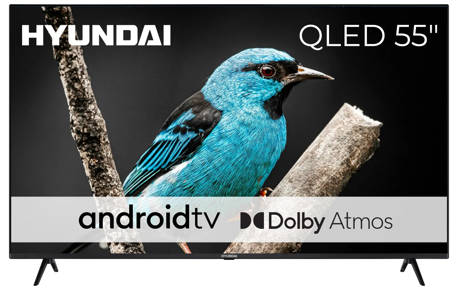 Telewizor Hyundai QLED 55'' QLX55840GSMART