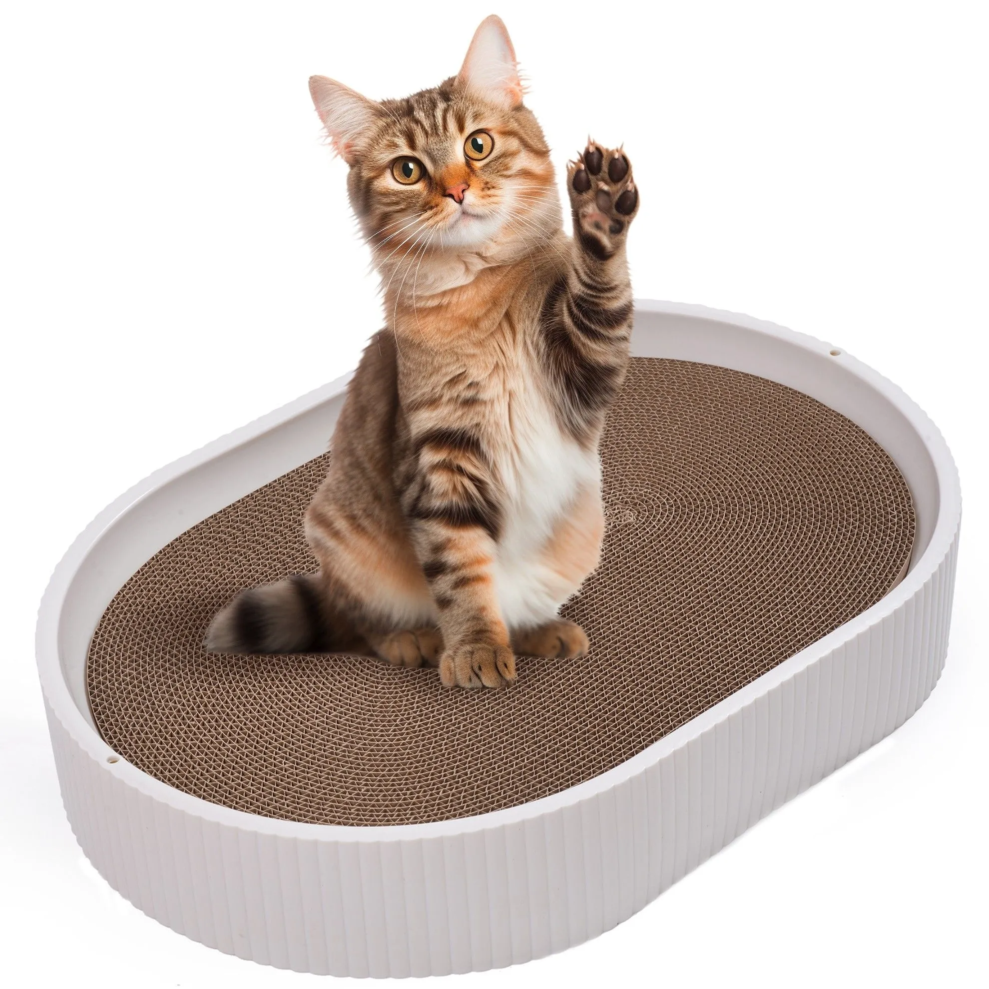 Drapak dla kota z tekturki, duży, zabawka, owalny, 49x34x8 cm