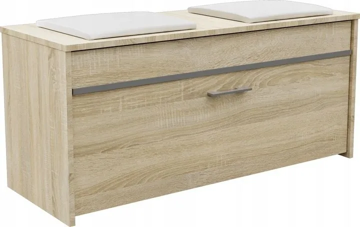 Szafka na obuwie, schowek, roma, 100x38x46 cm, dąb sonoma