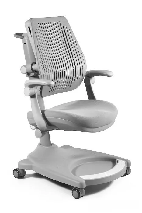Fotel ergonomiczny dla dziecka, Randy, szary