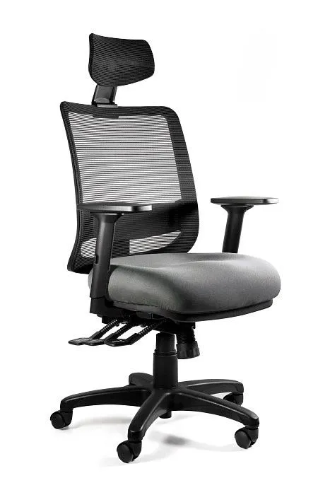 Fotel ergonomiczny do biura, Saga Plus, slategrey