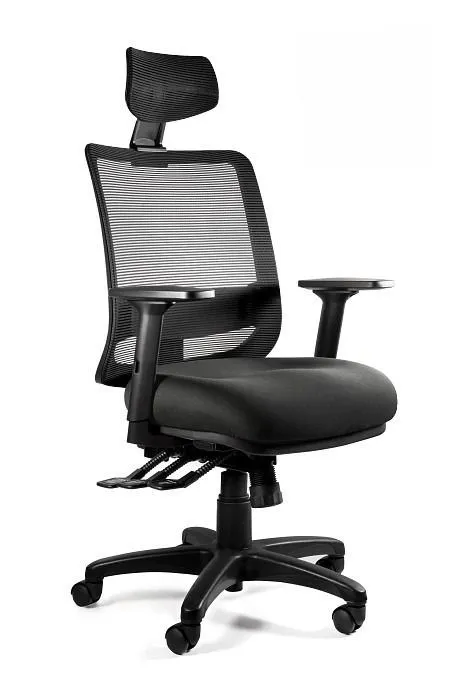 Fotel ergonomiczny do biura, Saga Plus, czarny