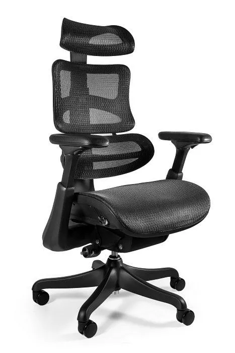 Fotel ergonomiczny, biurowy, Ergothrone, Black Frame, czarny