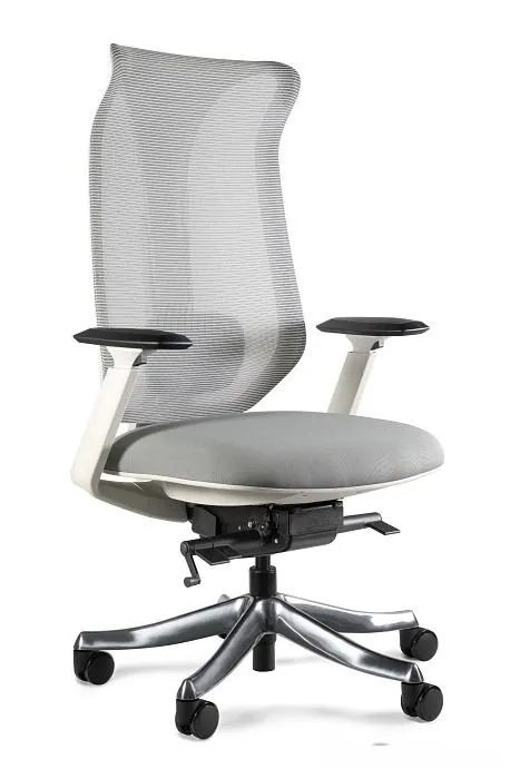 Fotel ergonomiczny, biurowy, siatka, tkanina, Focus, szary