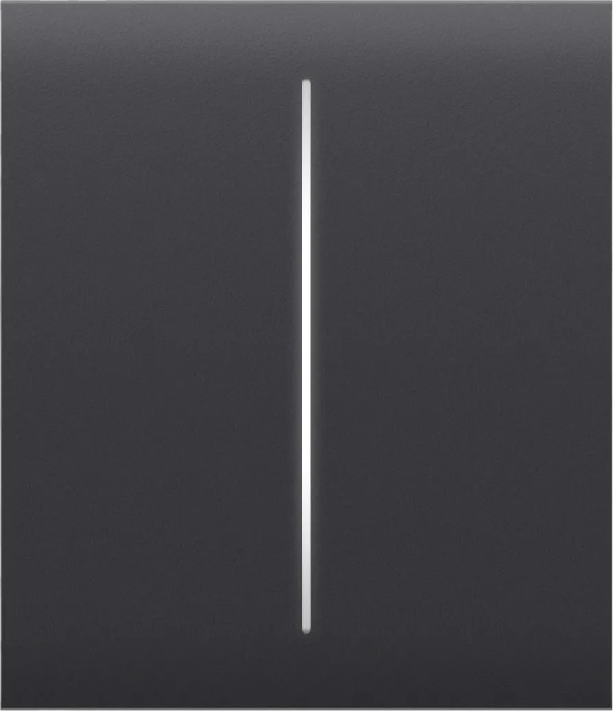 AJAX Button (graphite) CenterButton (2-gang)