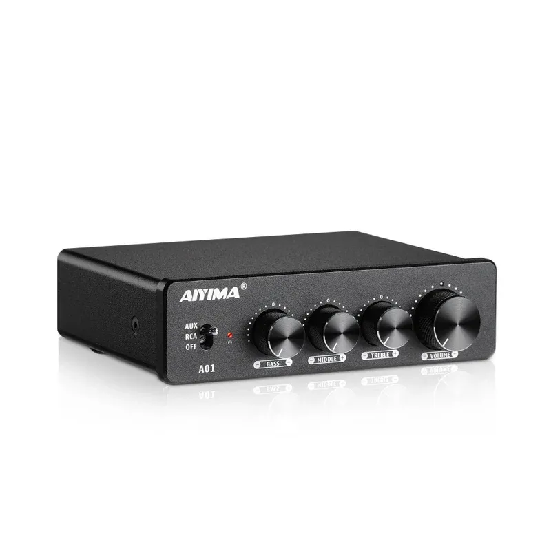 AIYIMA A01 Power Amplifier