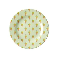 talerz z melaminy lody Rice