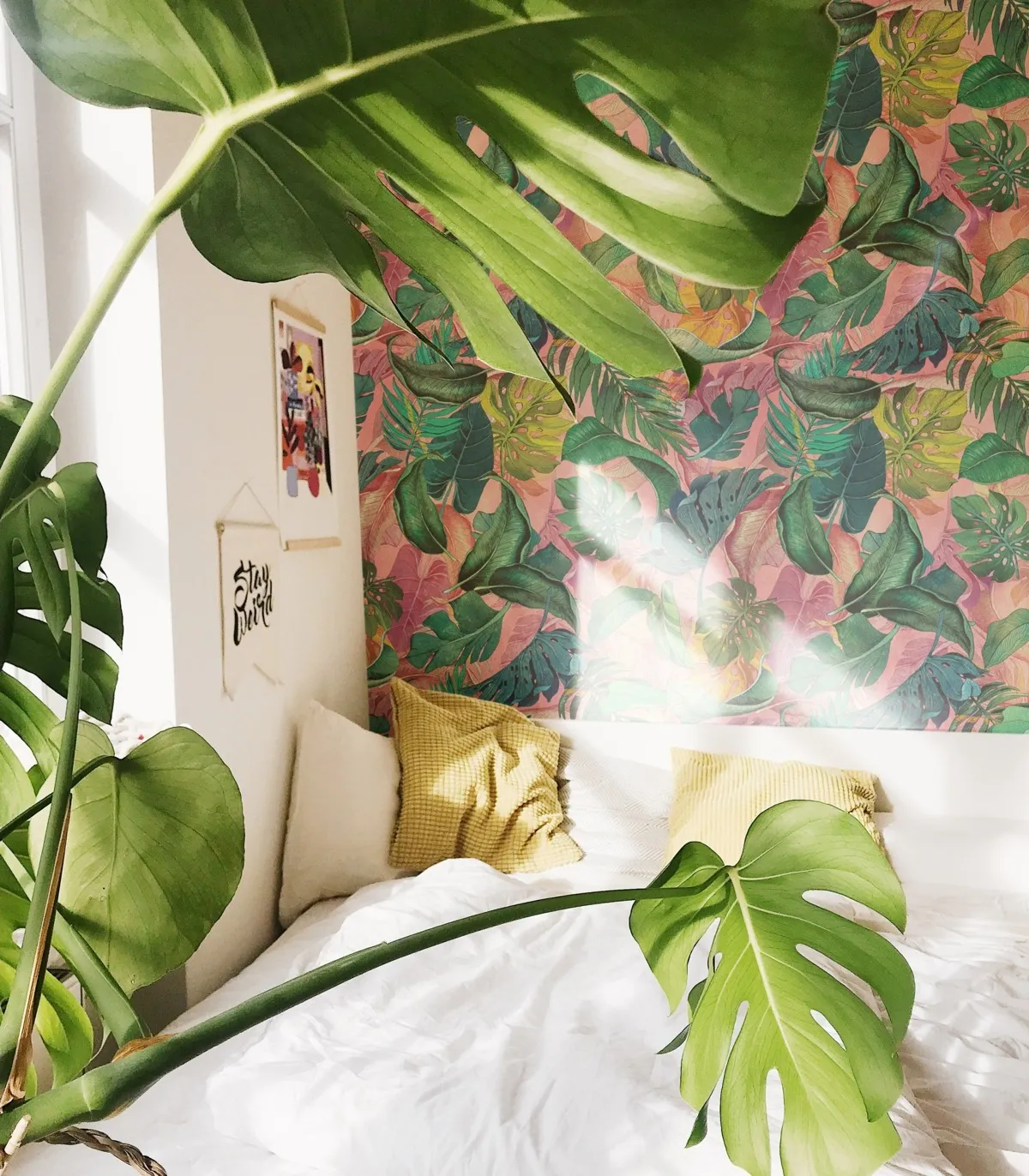 Tapeta Wallcolors - Monstera Pink