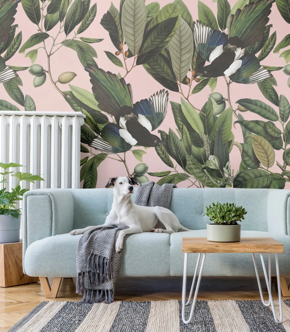 Tapeta Wallcolors - Magpie Pink