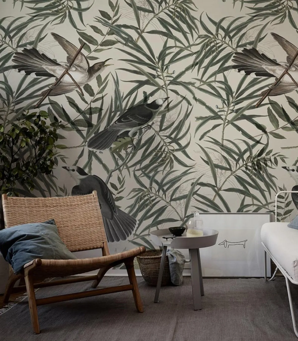 Tapeta Wallcolors - Wagtail