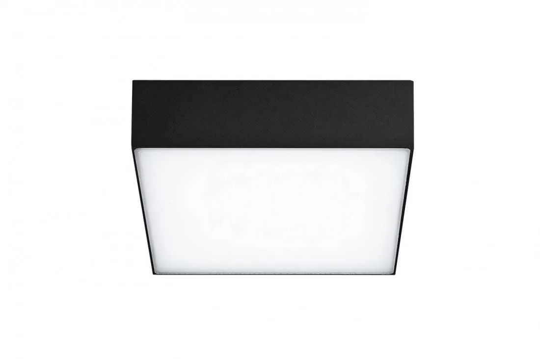 CASPER SQUARE IP54 AZzardo plafon/kinkiet - Ciemny szary - Neutralna 4000K