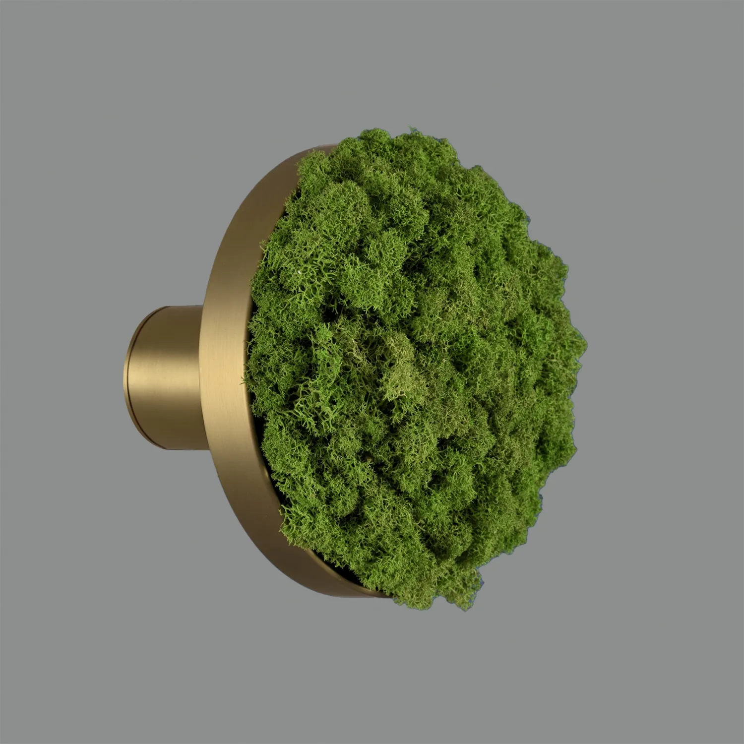 CHAMALEON easy link ACB kinkiet z 15 wymiennymi dyskami - Czarny - Różowy metal