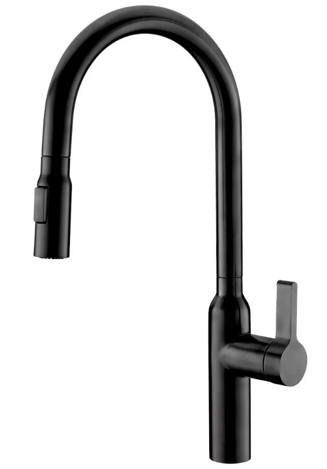 AQUILA Hydria II Pull Down Matte Black