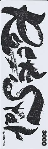 Kamień Shapton ROCK STAR [60416] do ostrzenia o gradacji 3000