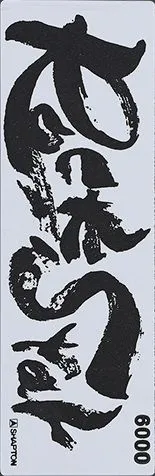 Kamień Shapton ROCK STAR [60517] do ostrzenia o gradacji 6000