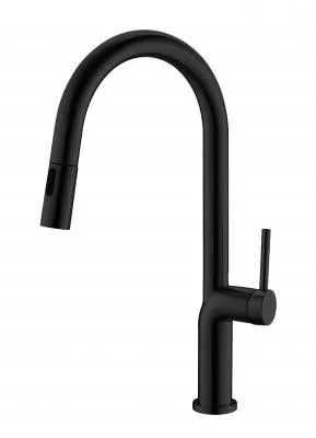 Aquila Carmen Pull Down Black