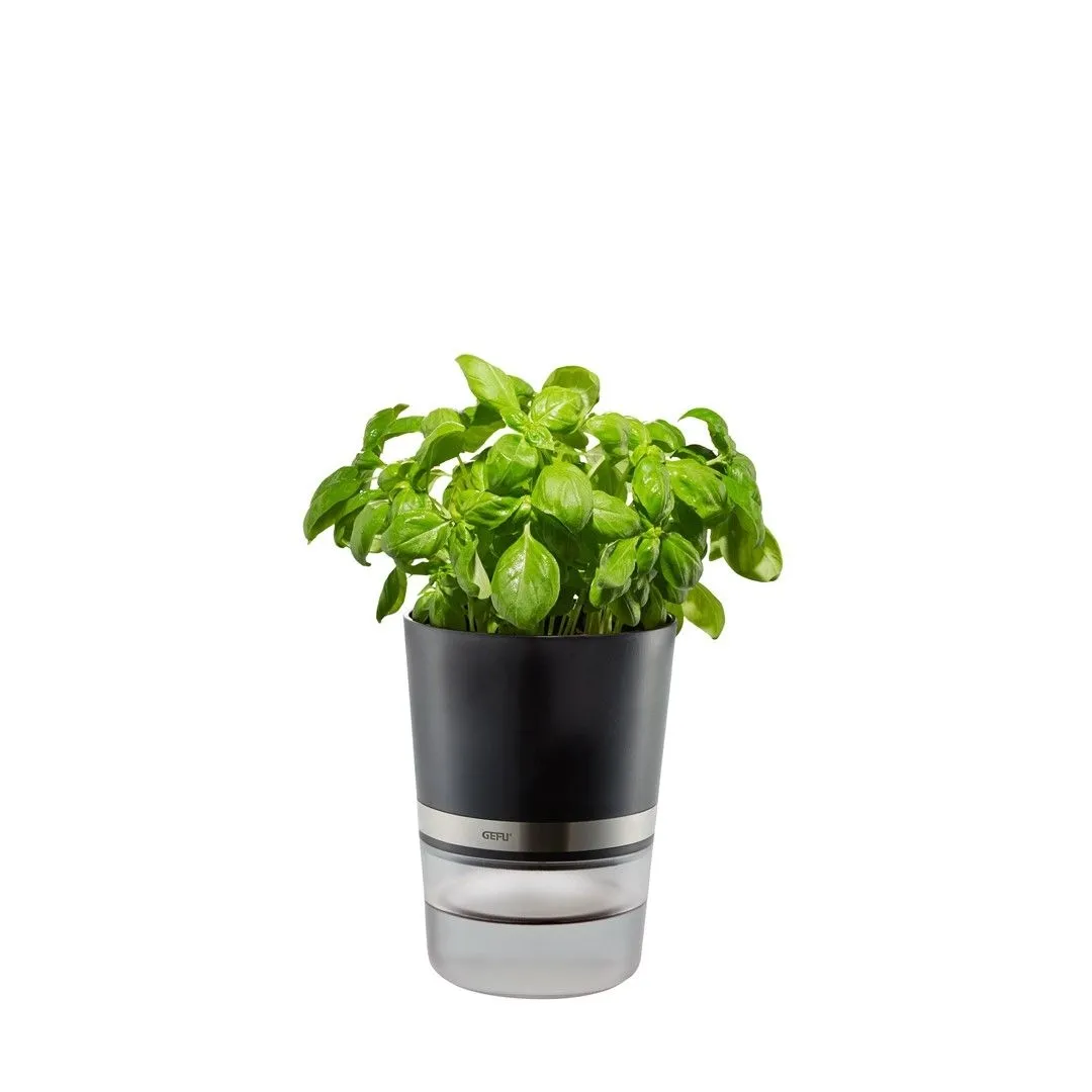 GEFU BOTANICO Doniczka na zioła