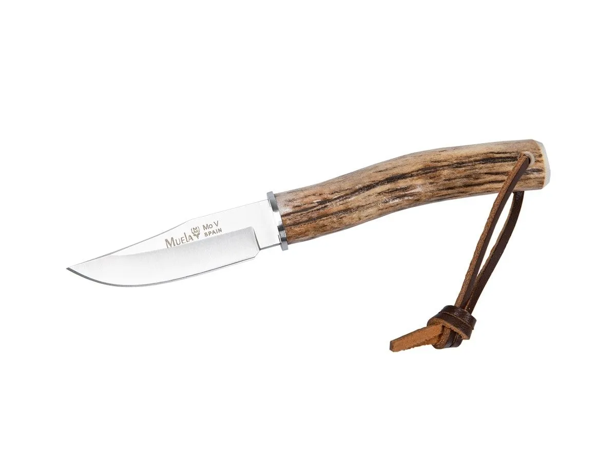 Muela BOWIE STAG BW-6A