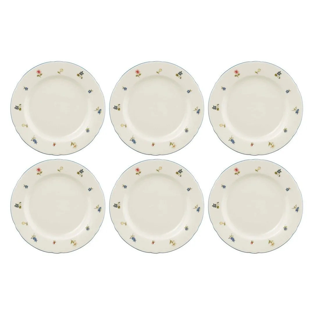SELTMANN MARIE-LUISE STREUBLUME Zestaw 6 talerzy do sałatek 20 cm