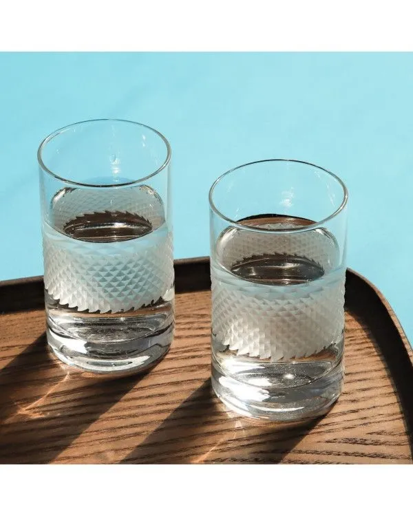 Crystal Julia Kieliszki do wódki 50 ml 6 sztuk Satine