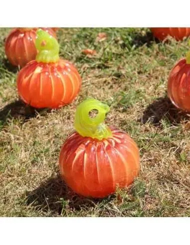 Crystal Julia Szklana dynia