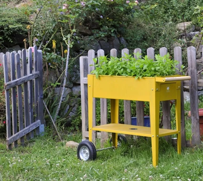 Herstera Garden Barcelona Liso musztardowa 85x35x80cm metalowa podniesiona grządka na kółkach