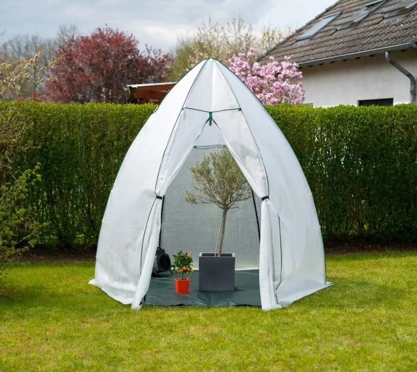 Westman Namiot zimowy i szklarnia foliowa Awokado Biały 250x250x250cm