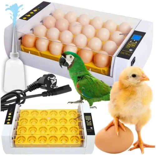 Inkubator klujnik wylęgarnia automatyczna cyfrowy owoskop obracanie jaj 24