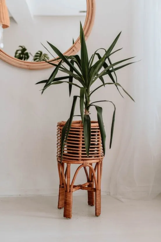 Kwietnik Poppy S karmelowy