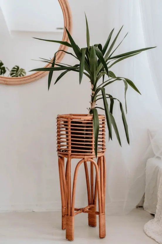 Kwietnik Poppy L karmelowy