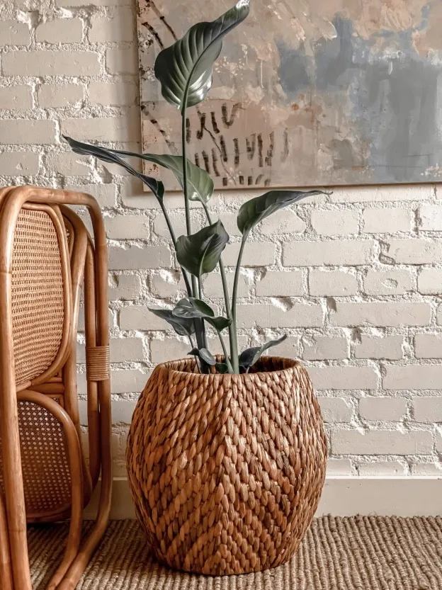 Donica Ruby bez wzoru