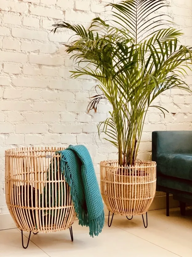 Zestaw dwóch donic Lilly